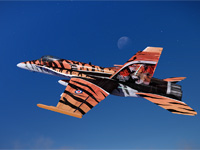 F/A-18 ''Hornet'' in the Tigermeet livery for Captain Sim`s XLoad.